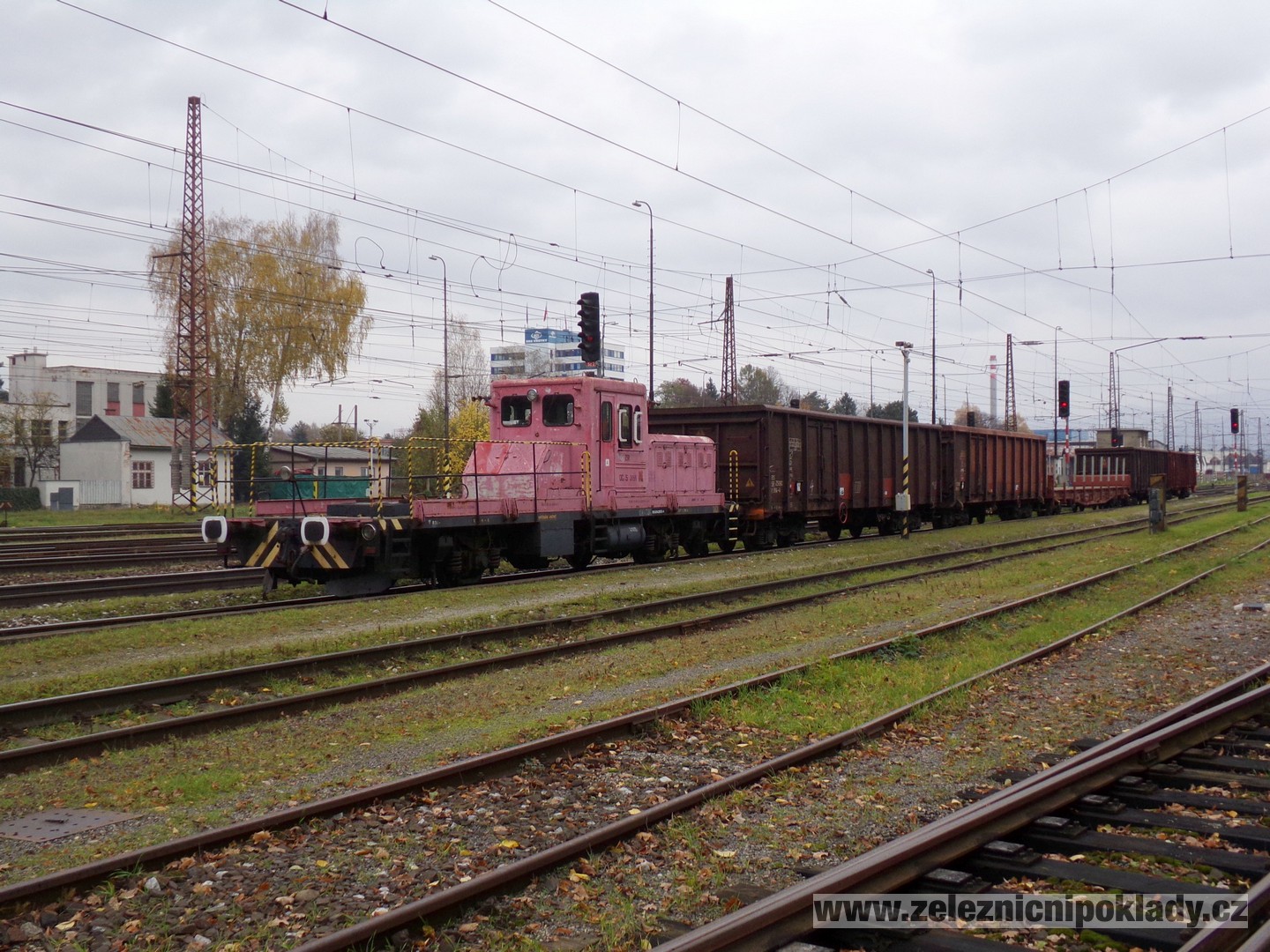 DGKu 5-2055 - Image 3